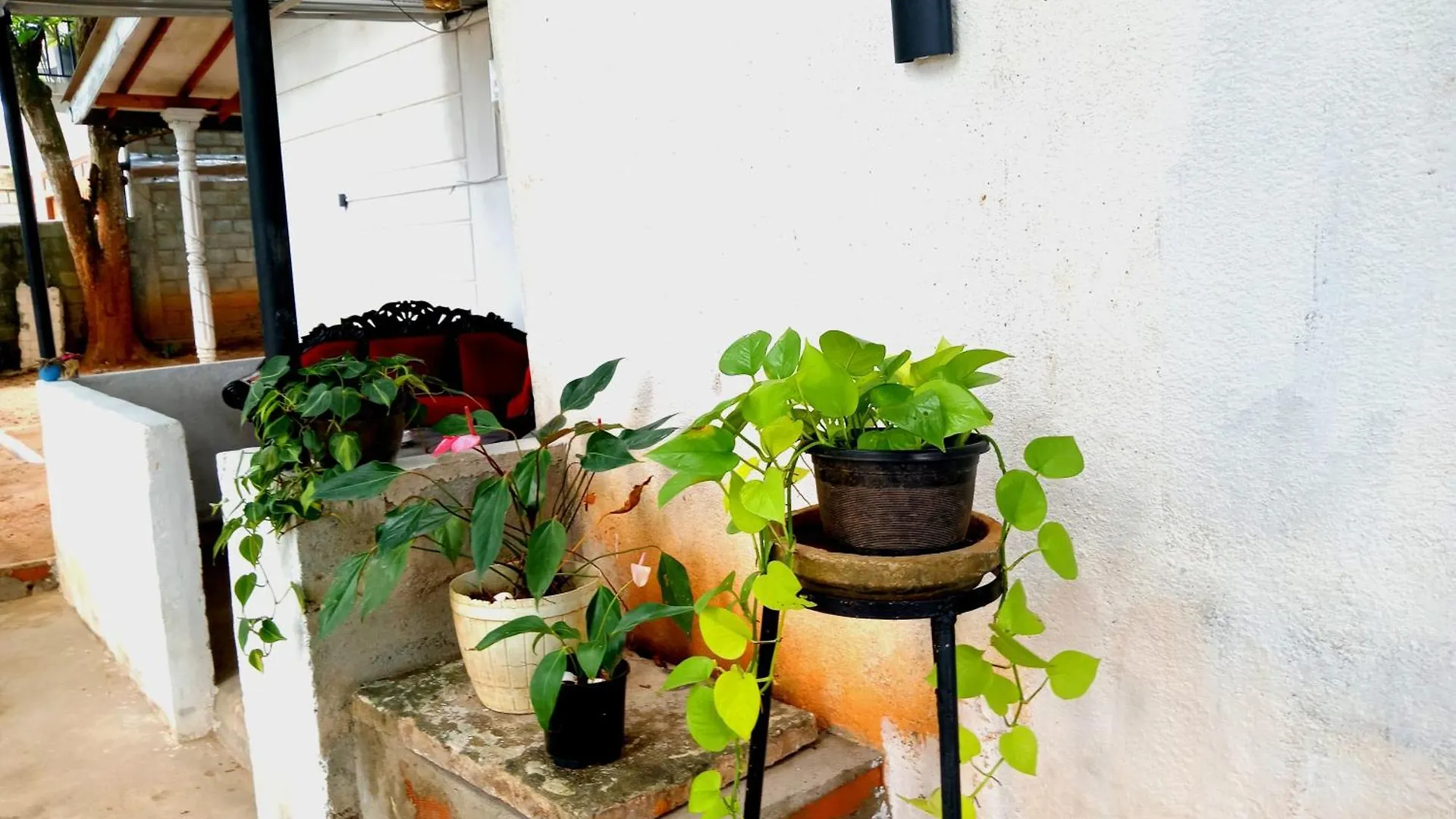 Séjour chez l'habitant Fly Infinity - Home Stay Kandy