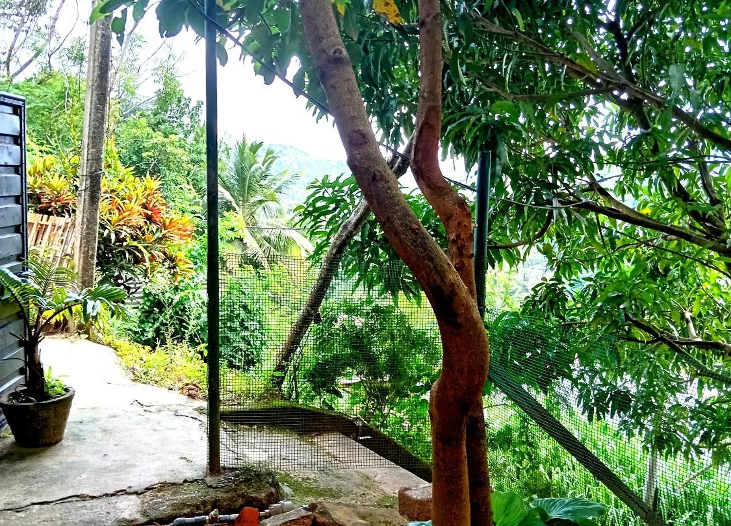 Séjour chez l'habitant Fly Infinity - Home Stay Kandy Sri Lanka