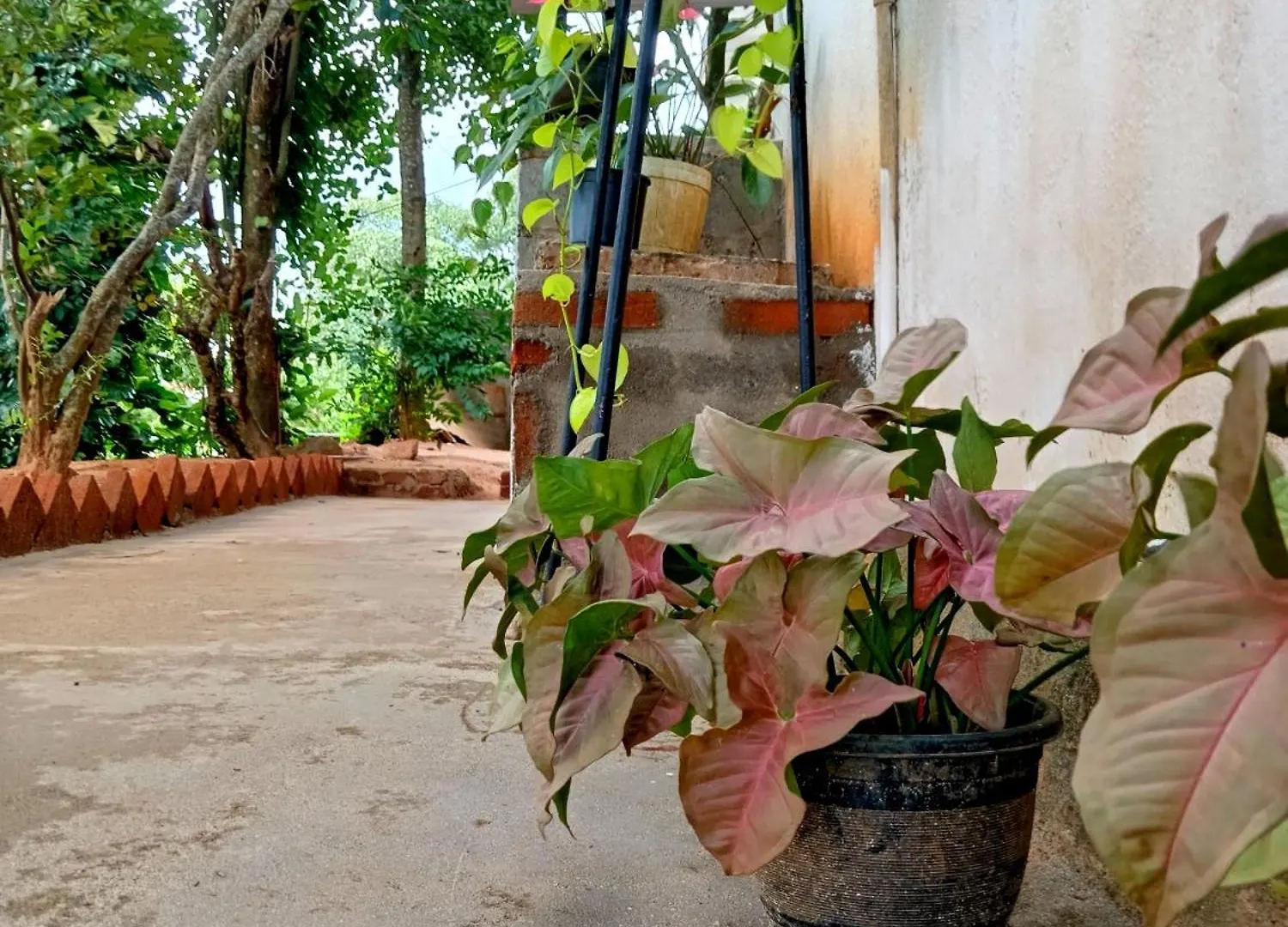 Kwatera prywatna Fly Infinity - Home Stay Kandy