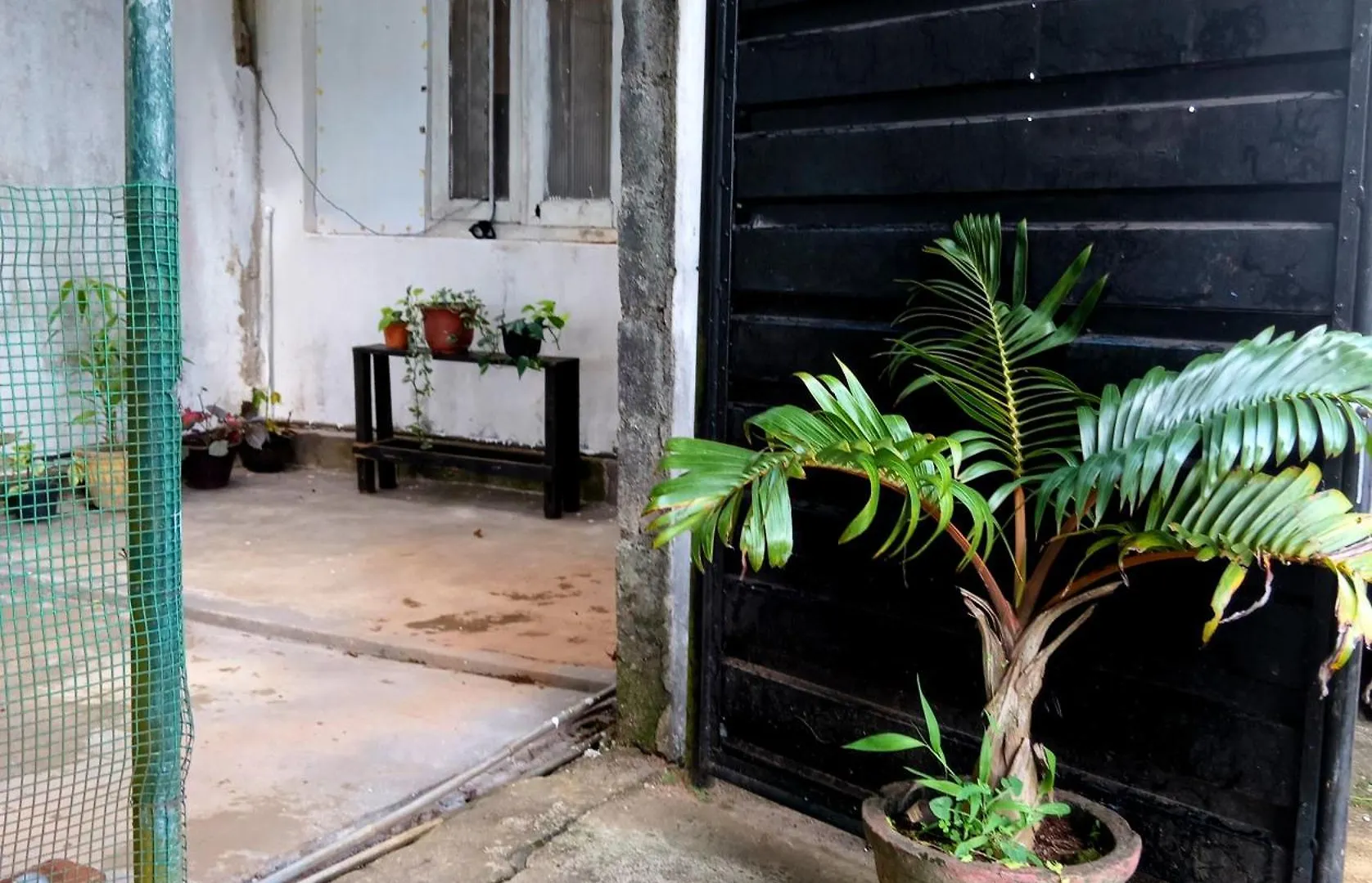 Séjour chez l'habitant Fly Infinity - Home Stay Kandy